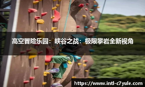 高空冒险乐园：峡谷之战：极限攀岩全新视角