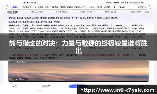 熊与猎鹰的对决：力量与敏捷的终极较量谁将胜出