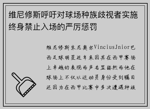 维尼修斯呼吁对球场种族歧视者实施终身禁止入场的严厉惩罚