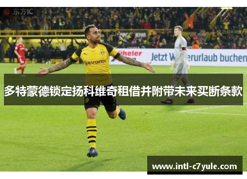 多特蒙德锁定扬科维奇租借并附带未来买断条款