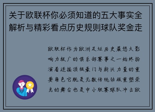 关于欧联杯你必须知道的五大事实全解析与精彩看点历史规则球队奖金走势